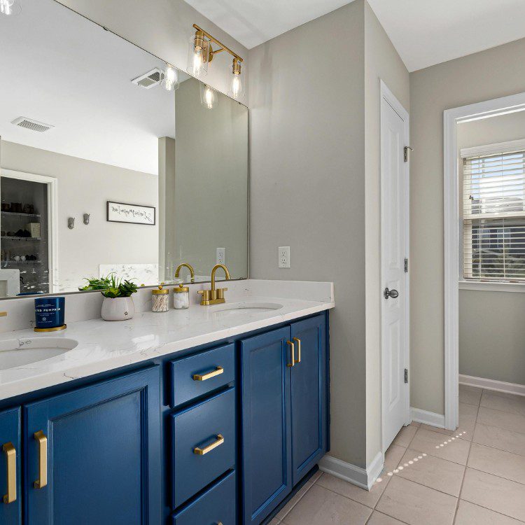 Painting and construction services in Winter Park, FL